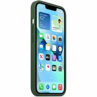 Apple Silikon-Case MagSafe Apple iPhone 13 - Clover