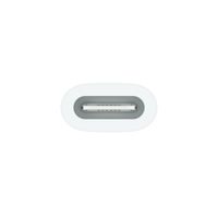Apple USB-C auf Apple Pencil Adapter