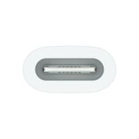 Apple USB-C auf Apple Pencil Adapter - Weiß